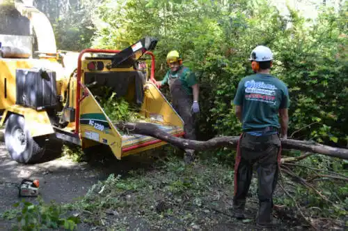tree services Gateway
